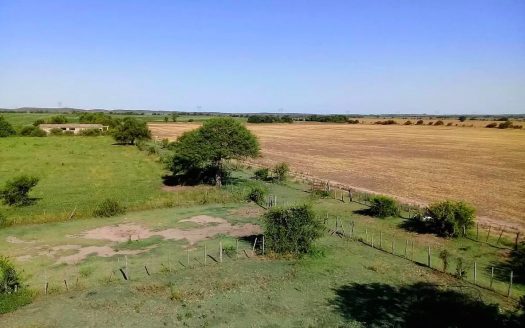 Campo en Totoral, Córdoba