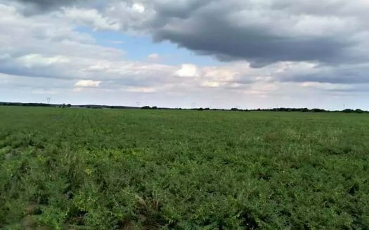 Campo en Totoral, Córdoba