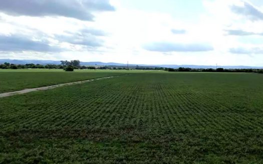 Campo en Totoral, Córdoba