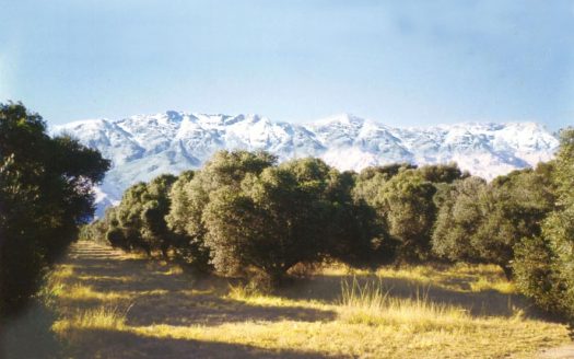 Fracciones de Yacanto de Traslasierra. Inmejorable Vista a Las Sierras