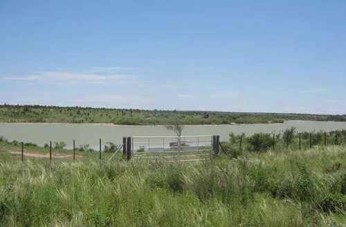 Campo Ganadero + Importante Cabaña