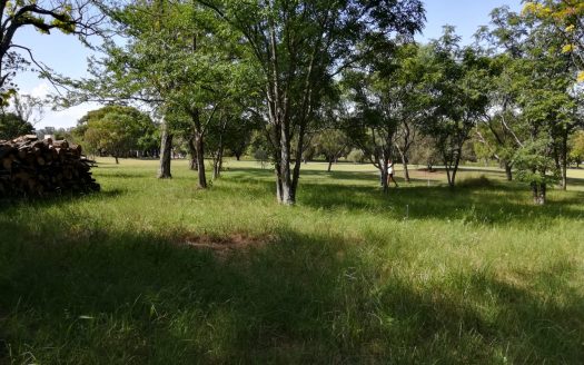 Potrerillo de Larreta. Terreno sobre el golf