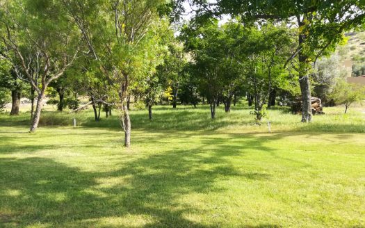 Potrerillo de Larreta. Terreno sobre el golf