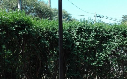 Housing Villa Allende Golf