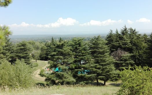 Complejo de Cabañas Sierras Villa General Belgrano